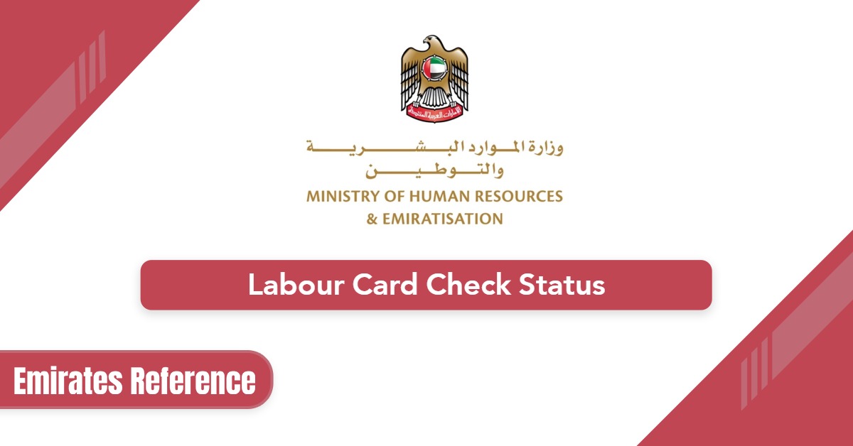 How to Check Mohre Labour Card Status Online in Minutes